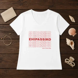 Awesome Ehipassiko Have A Nice Day Buddhism Pali V Neck Shirt in soft fabric with comfortable fit
